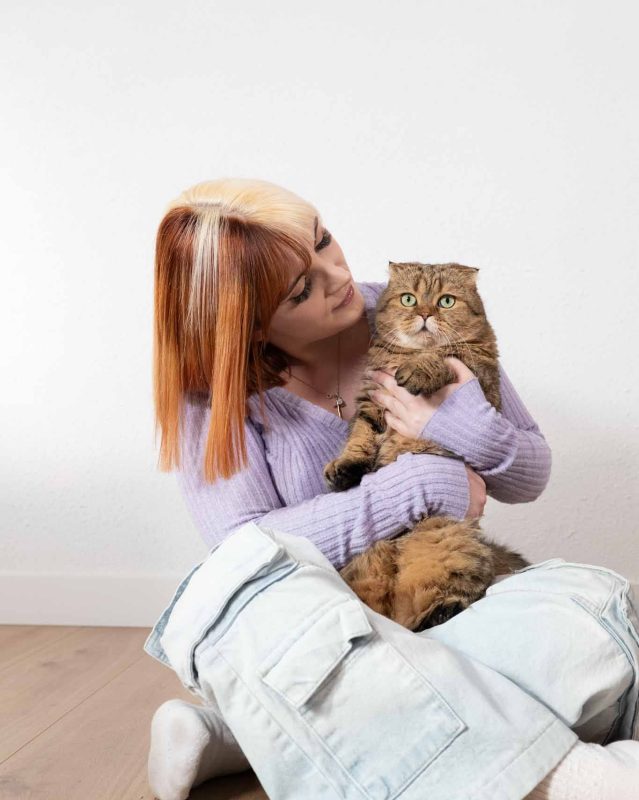 foto web gato adobe foto web gato adobe