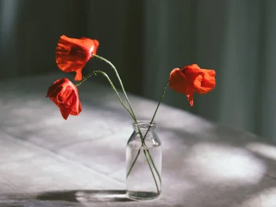 fotografia-artistica